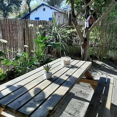 بيت للعطل Maison Confortable Pour 4 A Avec Terrasse Et Parking - Fr-1-239-929